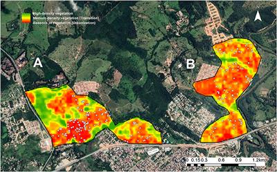 Effects of Gender, Sterilization, and Environment on the Spatial Distribution of Free-Roaming Dogs: An Intervention Study in an Urban Setting